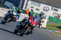 PJM-Wedding-Photography;enduro-digital-images;event-digital-images;eventdigitalimages;mallory-park;mallory-park-photographs;mallory-park-trackday;mallory-park-trackday-photographs;no-limits-trackdays;peter-wileman-photography;racing-digital-images;trackday-digital-images;trackday-photos